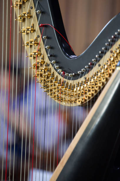istock Close up of harp 1361971857