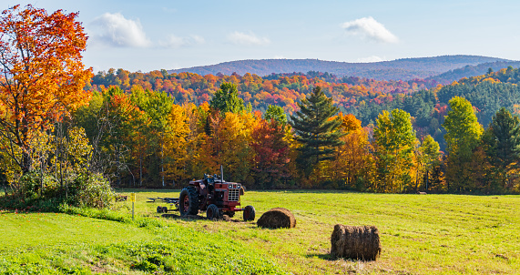 hay bales and old tractor on the field with the bright autumn foliage colors in the forest in the background