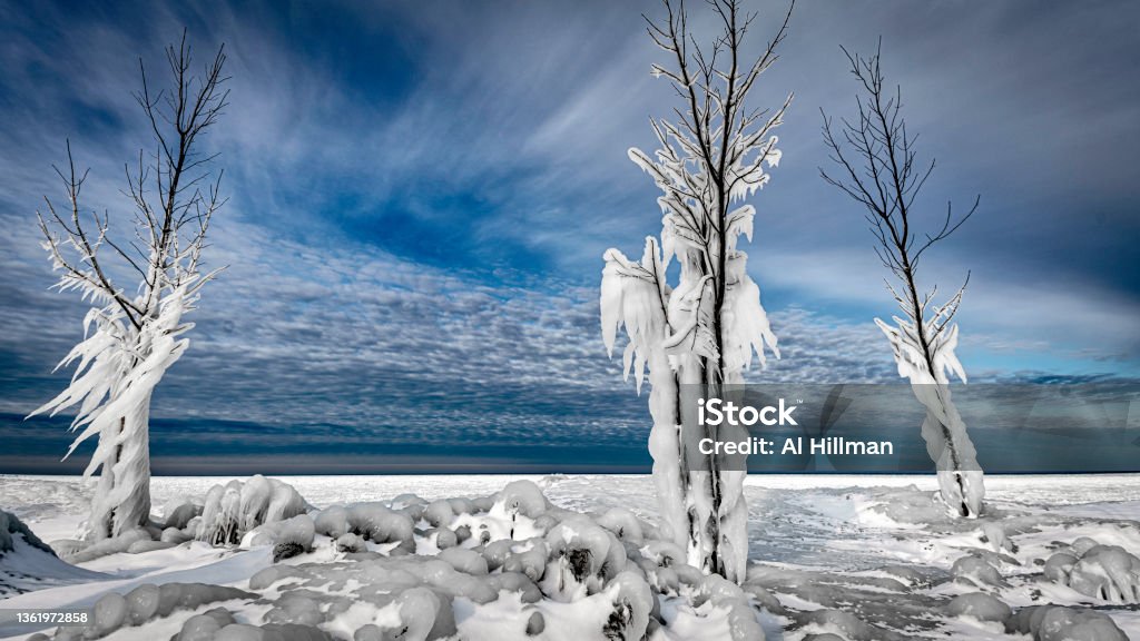 Shhhh_1-1 Icy covered Trees Along shores of Lake Huron Beauty In Nature Stock Photo