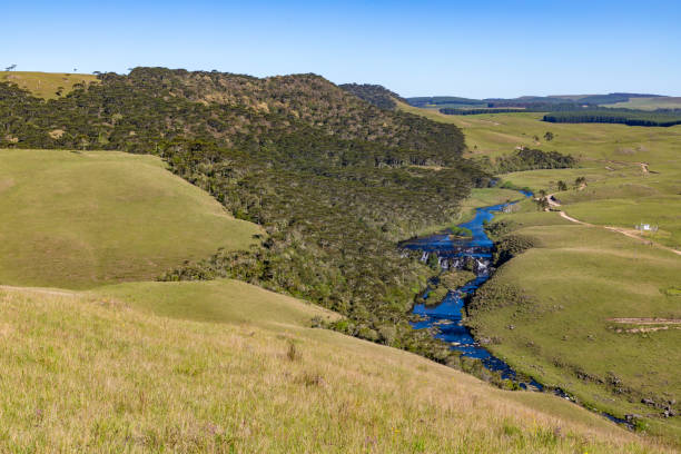istock River with waterfall, Farm field and Araucaria forest 1361981654