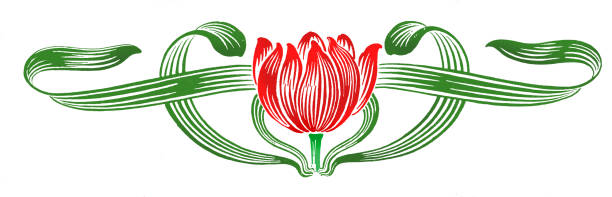 Art nouveau floral tulip design element for decoration drawing 1898 vector art illustration