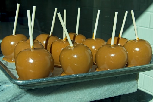 Candied Apples lined up on a tray ready for sale at a confectionary shop in Key West Florida. The caramel and sugar coated apples are a yummy treat on holiday in this popular Florida tourist destination.