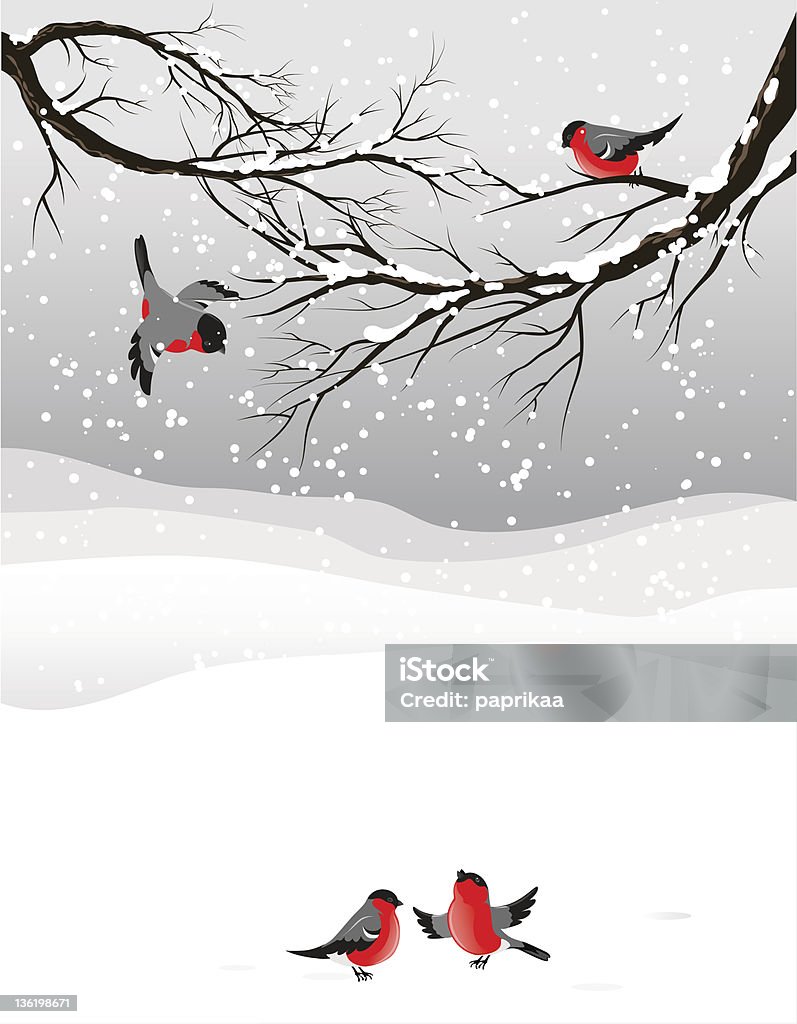 Winter background with birds bullfinch Branch - Plant Part stock vector