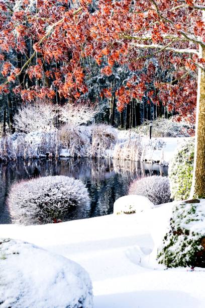istock Reflection of Snowy Bank and Fall Color 1361987286