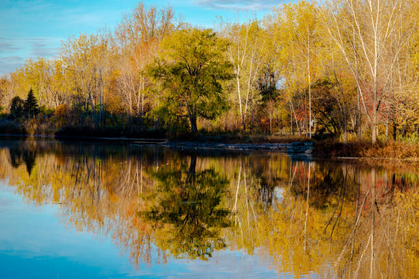 istock Autumn colors in the park 1361987413