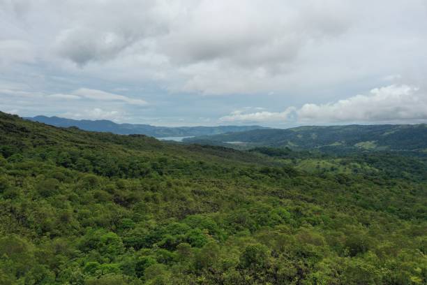 istock Lake Arenal seen far away from drone 1361987990