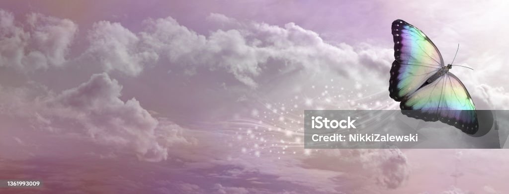 Butterfly Soul Release concept banner beautiful rainbow coloured butterfly with a trail of sparkles against a romantic delicate pink fluffy cloudscape with copy space Ethereal Stock Photo