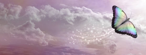 Butterfly Soul Release concept banner beautiful rainbow coloured butterfly with a trail of sparkles against a romantic delicate pink fluffy cloudscape with copy space butterfly purple blue isolated stock pictures, royalty-free photos & images