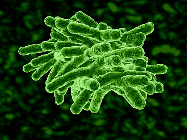 Green bacteria in 3D with a black and green background Bacteria close-up. sem stock pictures, royalty-free photos & images