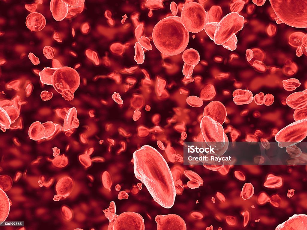 Bloodstream Red blood cells flowing (with depth of field). Also available with virus infection. Blood Stock Photo