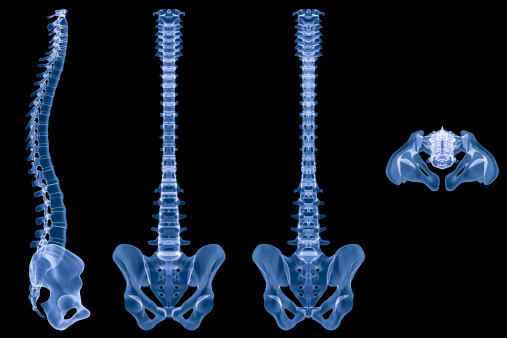 Digital medical illustration: X-ray human spine. 4 views included: 