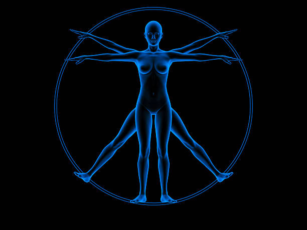 istock Vitruvian woman 136199697