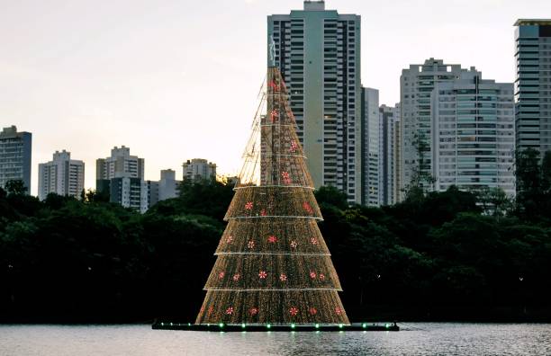 istock A Christmas tree with lights over the lake. 1362000039