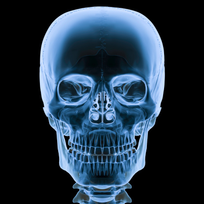 Digital medical illustration: X-ray human skull Anterior (front) view. 