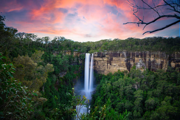 красивая текущая река в фицрой уотер фоллс в боурал новый южный уэльс австралия красивые красочные облачные небеса прекрасные водо�пады - rainforest forest river australia стоковые фото и изображения