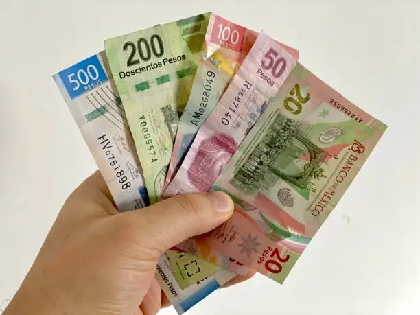 A person holding Mexican banknotes bills currency on a clear background.