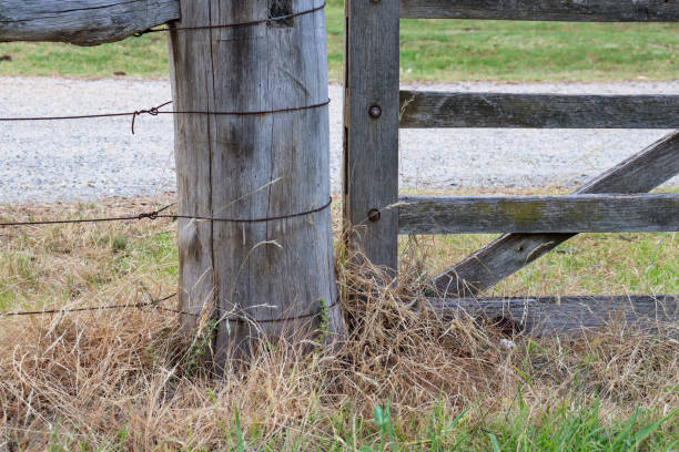 istock old wooden gate and fence 1362012532