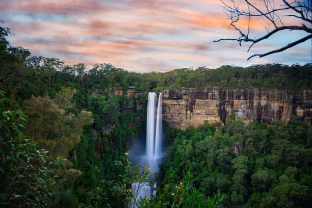 hermoso río que fluye en fitzroy water falls en bowral nsw australia hermosos cielos nublados coloridos cascadas encantadoras - rainforest waterfall australia forest fotografías e imágenes de stock