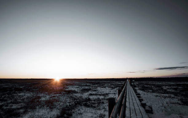 istock winter bog view in Estonia 1362014804