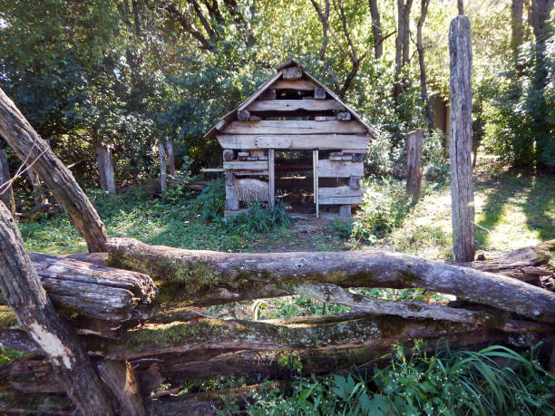 Few remnants pf a pioneer cabin and log fence in forest.  Indiana. stock photo