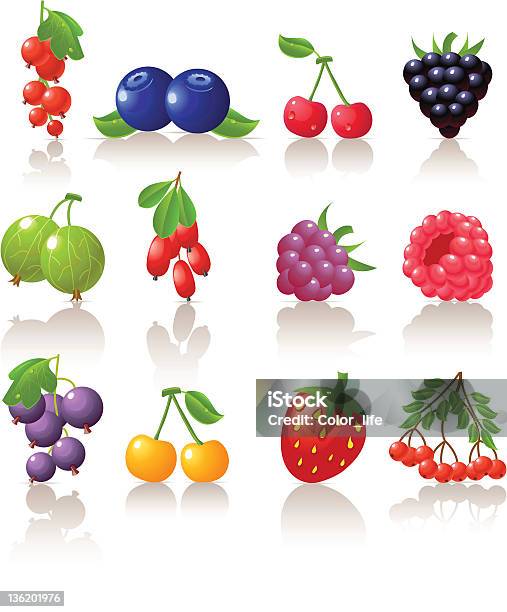 산딸기류 설정 0명에 대한 스톡 벡터 아트 및 기타 이미지 - 0명, 건강한 식생활, 과일