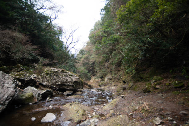 istock Travel scenery in Oita prefecture 1362020340