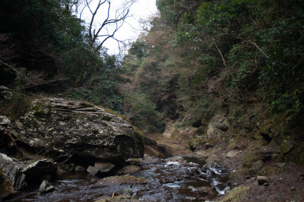 istock Travel scenery in Oita prefecture 1362020343