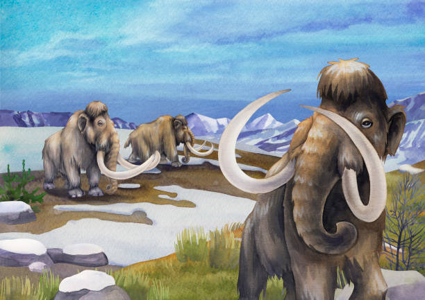 istock Watercolor mammoths walking in a snowy mountain landscape 1362020350