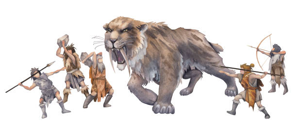 Saber Tooth Tiger Size Comparison To Human