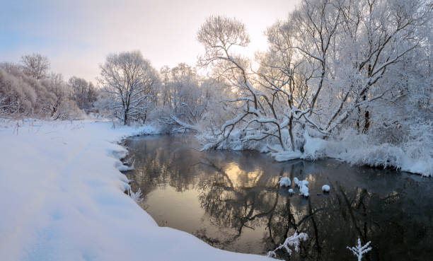 istock Winter landscape with calm forest river and snow covered trees 1362027953