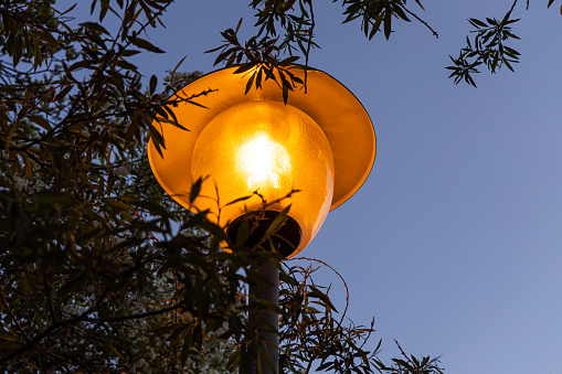 The orange beautiful street lighting lantern against the willow tree background is in a park in spring