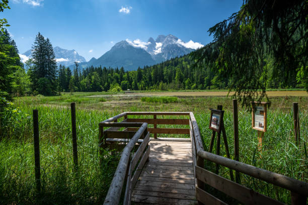 istock View from a viewing platform over the idyllic Taubensee towards the Hochkalter mountain range, Ramsau in summer, Bavaria, Germany 1362029184