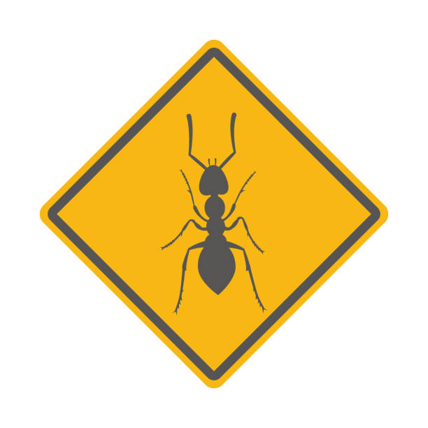 Ant danger sign. Insect warning. Vector illustration. Ant danger sign. Insect warning. Vector illustration ant colony swarm of insects pest stock illustrations