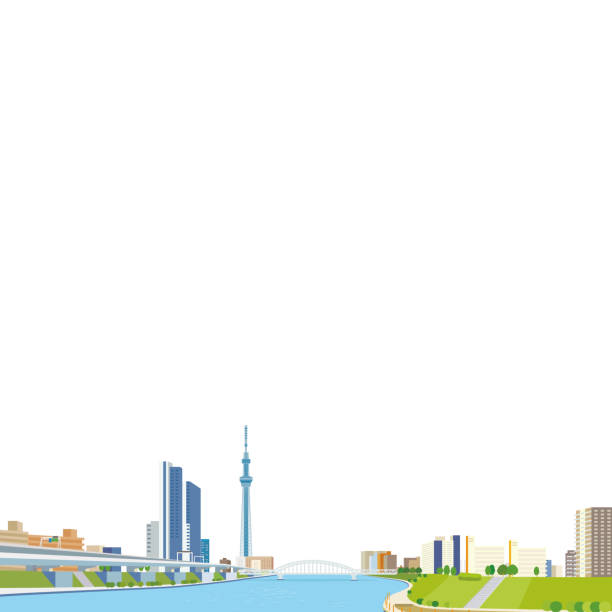 ilustrații de stoc cu ilustrație vectorială a peisajului urban - tokyo skytree