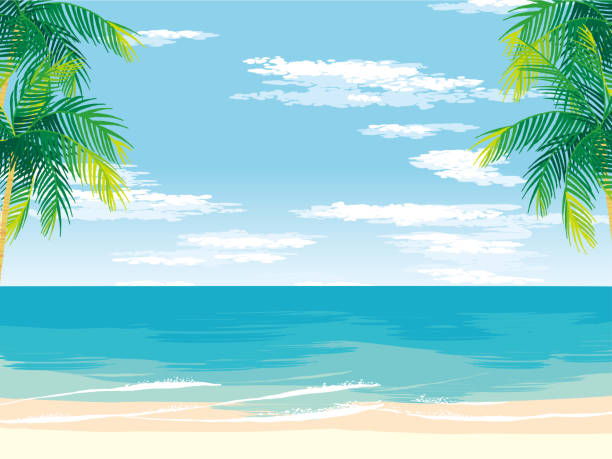 日中は、背の高いヤシの木と葉に囲まれた日中の日当たりの良い砂浜。 - 海点のイラスト素材／クリップアート素材／マンガ素材／アイコン素材