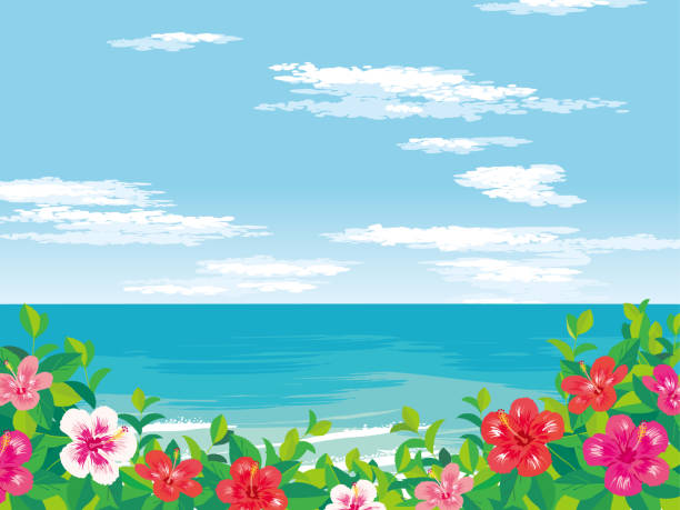 ヤシの木とハイビスカスのある日中の日当たりの良い砂浜 - 沖縄点のイラスト素材／クリップアート素材／マンガ素材／アイコン素材