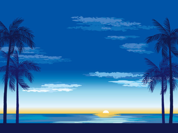 die schatten der palmen auf einem sonnenuntergang hintergrund - holiday villa illustrations stock-grafiken, -clipart, -cartoons und -symbole