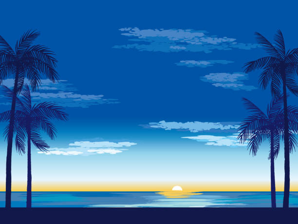 ilustrações, clipart, desenhos animados e ícones de as sombras das palmeiras em um fundo do pôr do sol - holiday villa illustrations