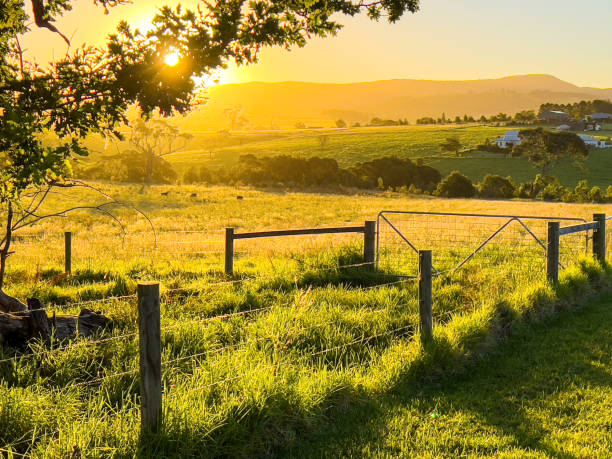 istock South Coast Golden Hour Landscape 1362056411