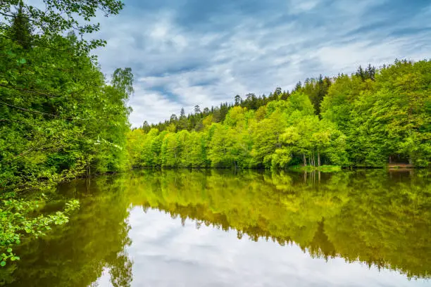 Germany, Calm herrenbachstausee lake water surrounded by green forest and nature landscape near adelberg and goeppingen reflecting on glassy water surface