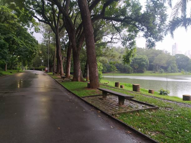 istock Aclimacao park totally empty after heavy rains 1362058808