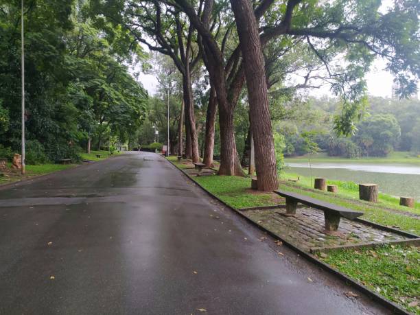 istock Aclimacao park totally empty after heavy rains 1362058821
