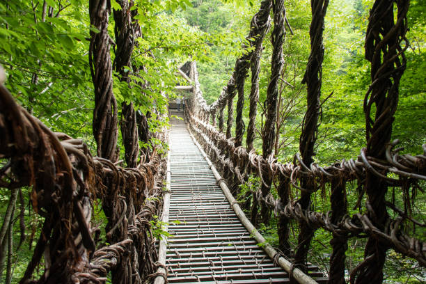 istock Kazura Bridge over the Iyanoka River 1362059085