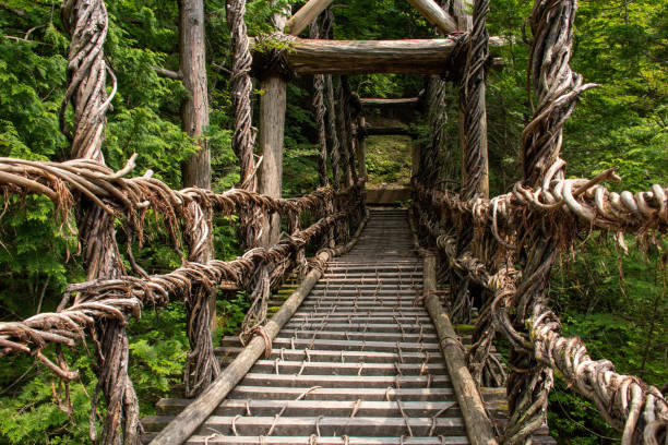 istock Kazura Bridge over the Iyanoka River 1362060253