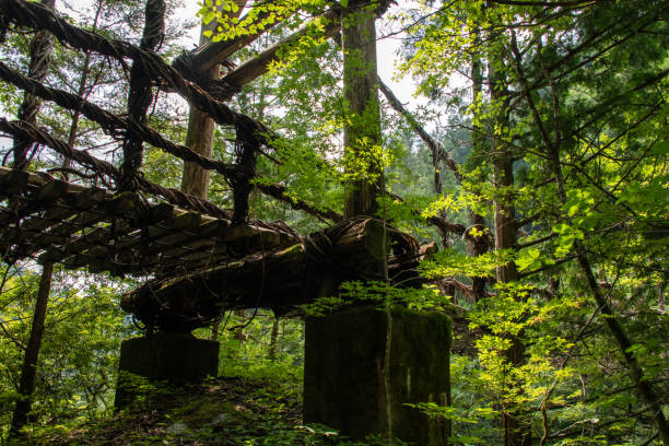 istock Kazura Bridge over the Iyanoka River 1362060353