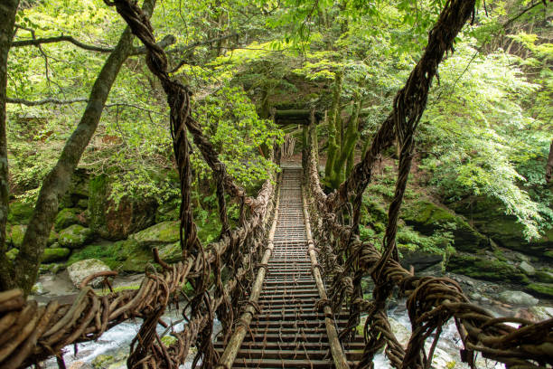 istock Kazura Bridge over the Iyanoka River 1362061146