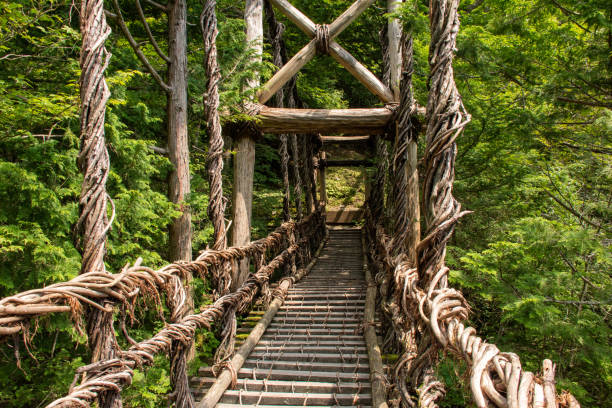 istock Kazura Bridge over the Iyanoka River 1362061675