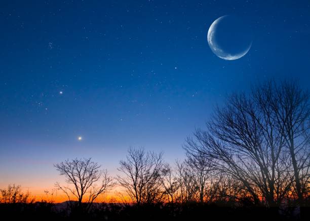 early morning sky with moon and tree silhouette