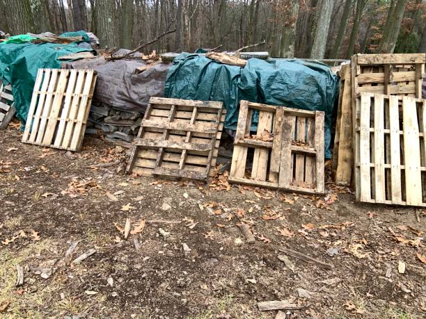 istock Firewood Stacked and Protected by the Woods 1362066759