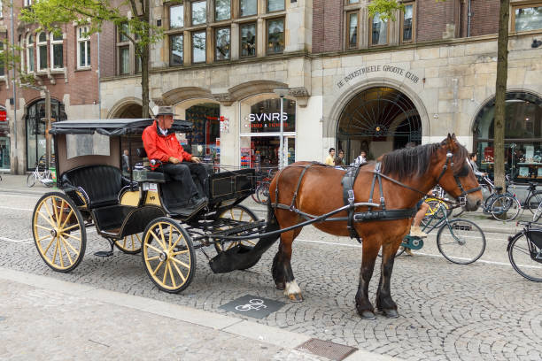 Amsterdam, Netherlands - June 12, 2013: horse drawn carriage stands on the streets of Amsterdam waiting for tourists. A popular tourist attraction.